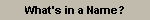 What's in a Name?